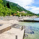 Ljuba * Дуба