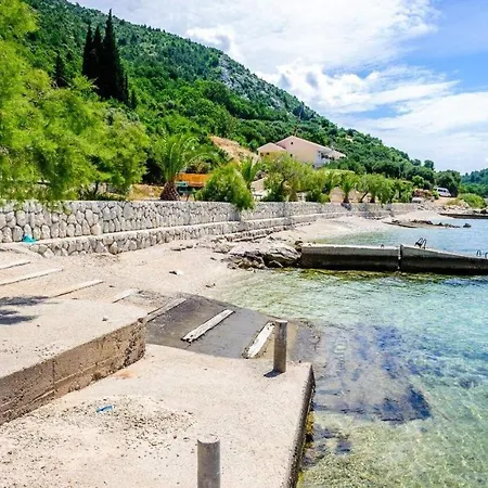 Ljuba * Duba